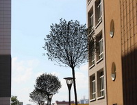 Finpar&aacute;da.cz - Banky měn&iacute; v&nbsp;z&aacute;věru dubna 2013 &uacute;rokov&eacute; sazby u&nbsp;hypot&eacute;k