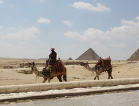 Jak&aacute; nov&aacute; rizika V&aacute;s čekaj&iacute; letos o dovolen&eacute;? Na sn&iacute;mku jezdec na velbloudu u Egyptsk&yacute;ch pyramid.