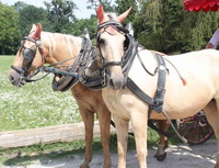 Na co zaj&iacute;mav&eacute;ho si lid&eacute; berou &uacute;věr?