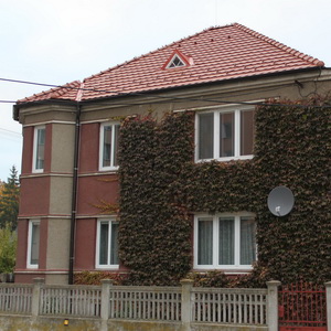 Zdražen&iacute; elektřiny a plynu. Na&nbsp;sn&iacute;mku rodinn&yacute; dům.