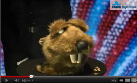 Reklama ČSOB Pojišťovny