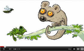 Rychlé vyřízení hypotéky - Chameleon