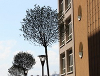 Hypot&eacute;ka, &Uacute;rok, Sazba, &Uacute;rokov&aacute; sazba, RPSN, Spl&aacute;tka, Fixace, Nejv&yacute;hodněj&scaron;&iacute;