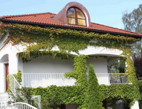 &Uacute;rokov&eacute; sazby hypotečn&iacute;ch &uacute;věrů stagnuj&iacute;, ale lid&eacute; si st&aacute;le půjčuj&iacute;. Na&nbsp;sn&iacute;mku dům s&nbsp;břečťanem.