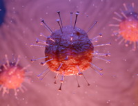 Obrázek. Koronavirus